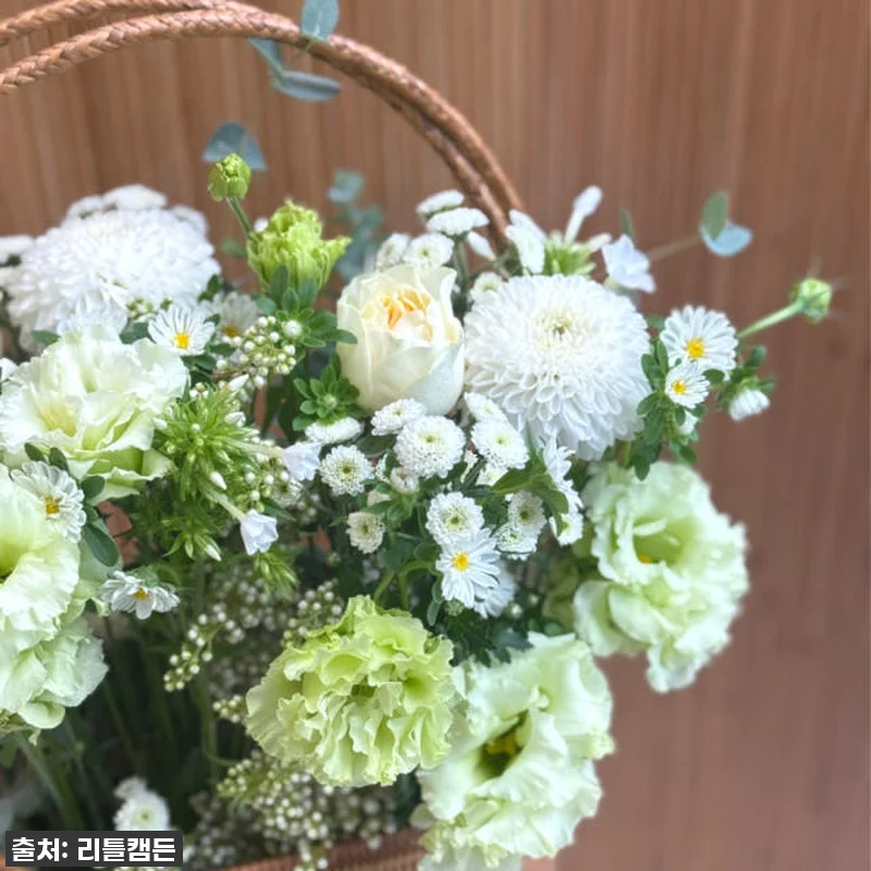 이 가격 실화?! 56% 폭탄 할인! 리틀캠든 그린 앤 화이트 꽃다발, 일상을 드라마로 만드는 마법! 12 이 가격 실화?! 56% 폭탄 할인! 관련 이미지 1