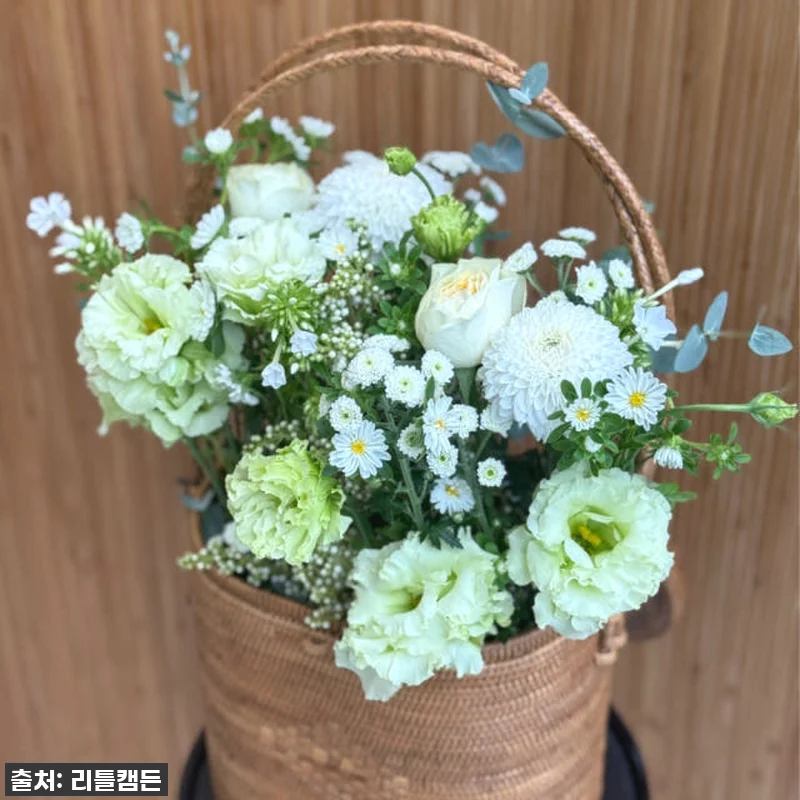 이 가격 실화?! 56% 폭탄 할인! 리틀캠든 그린 앤 화이트 꽃다발, 일상을 드라마로 만드는 마법! 13 이 가격 실화?! 56% 폭탄 할인! 관련 이미지 2