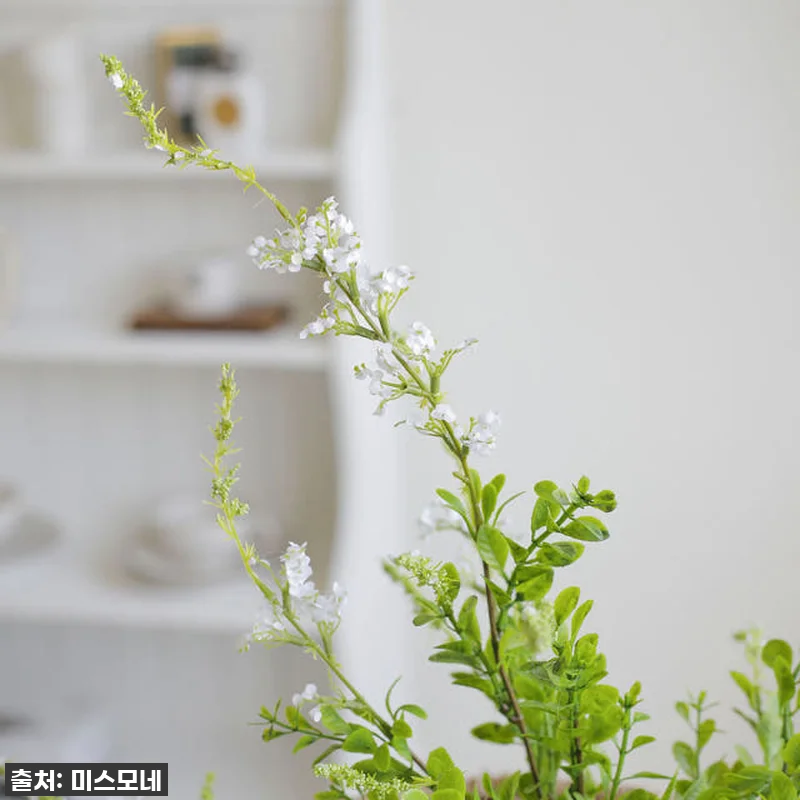 품절대란템! 세이지 브러쉬 들꽃 가지 관련 이미지 2