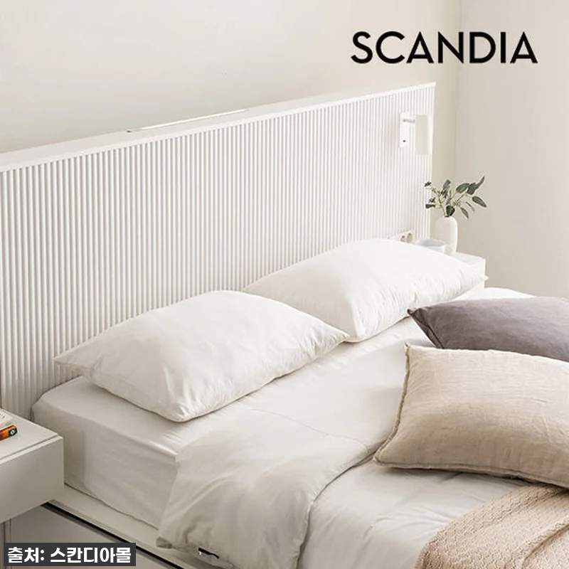 이 가격 실화?! 스칸디아 템바보드 관련 이미지 2