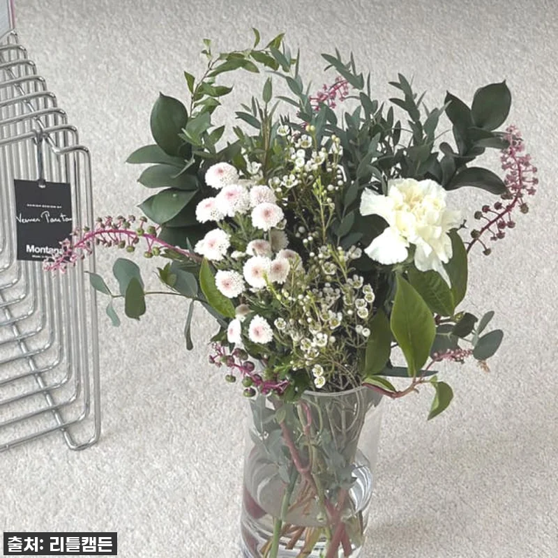 이 가격 실화?! 56% 폭탄 할인! 리틀캠든 그린 앤 화이트 꽃다발, 일상을 드라마로 만드는 마법! 14 이 가격 실화?! 56% 폭탄 할인! 관련 이미지 3