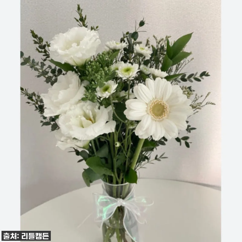 이 가격 실화?! 56% 폭탄 할인! 리틀캠든 그린 앤 화이트 꽃다발, 일상을 드라마로 만드는 마법! 15 이 가격 실화?! 56% 폭탄 할인! 관련 이미지 4