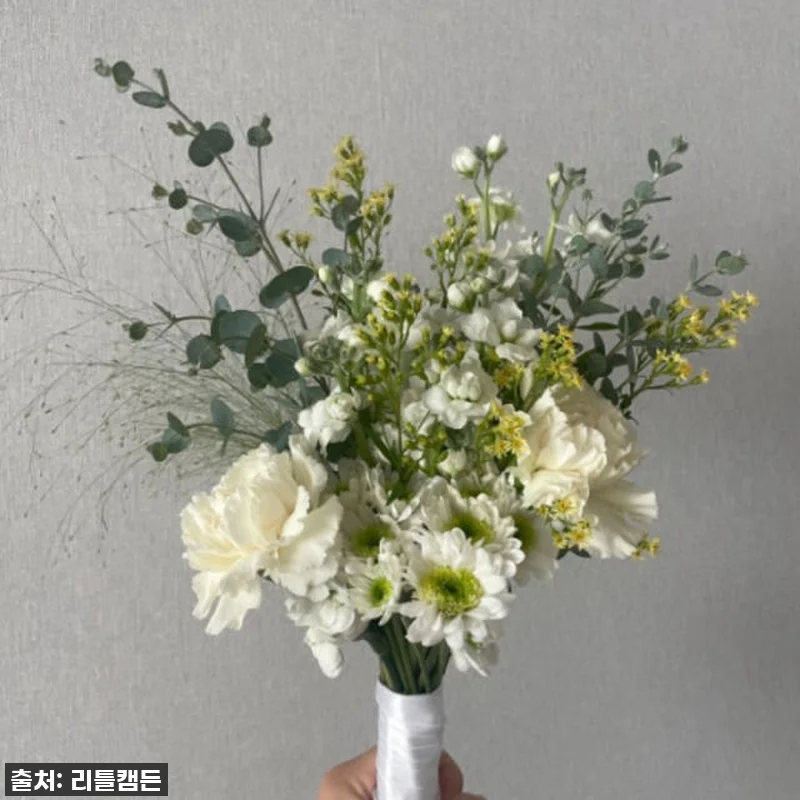 이 가격 실화?! 56% 폭탄 할인! 리틀캠든 그린 앤 화이트 꽃다발, 일상을 드라마로 만드는 마법! 16 이 가격 실화?! 56% 폭탄 할인! 관련 이미지 5