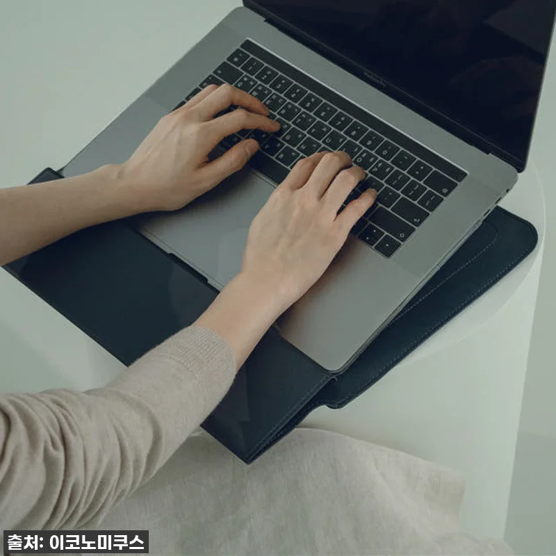 🔥단돈 1만원대로? 맥북/LG그램 필 관련 이미지 5