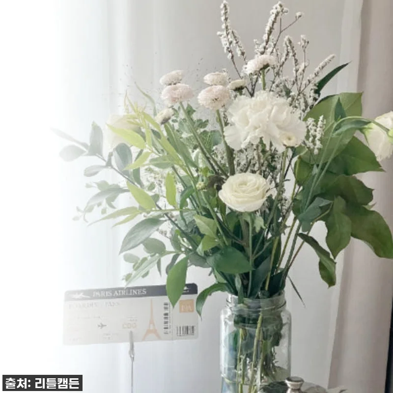 이 가격 실화?! 56% 폭탄 할인! 리틀캠든 그린 앤 화이트 꽃다발, 일상을 드라마로 만드는 마법! 17 이 가격 실화?! 56% 폭탄 할인! 관련 이미지 6