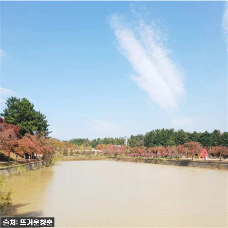 [찐후기] 품절임박! '갯마을 차차차 관련 이미지 6