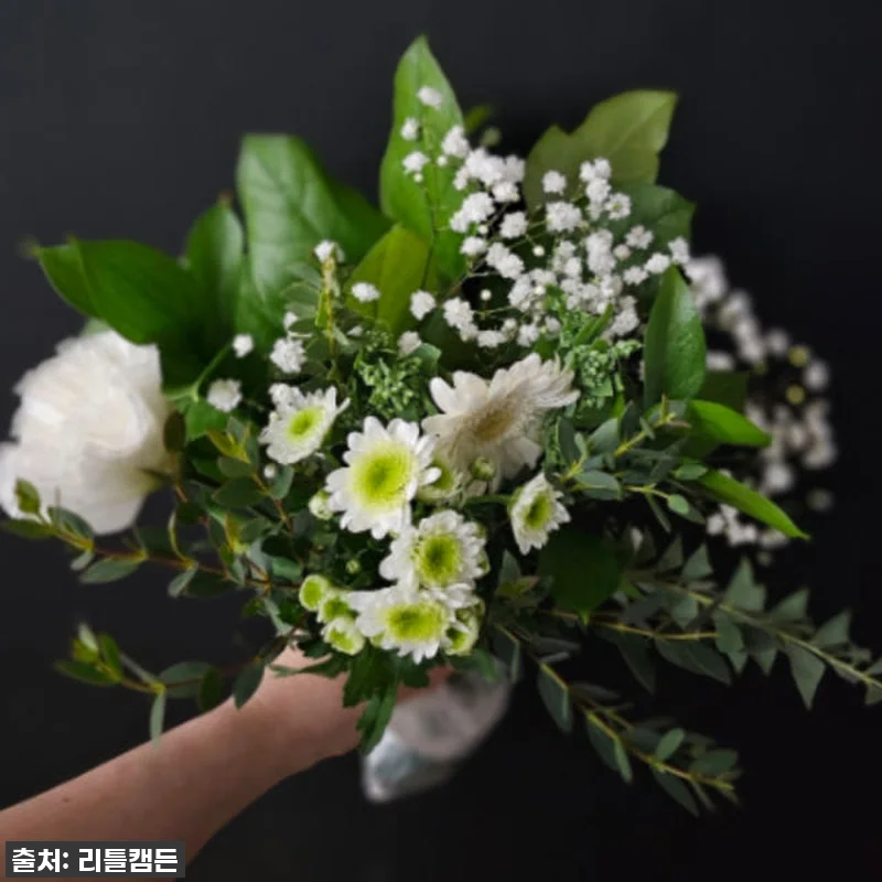 이 가격 실화?! 56% 폭탄 할인! 리틀캠든 그린 앤 화이트 꽃다발, 일상을 드라마로 만드는 마법! 18 이 가격 실화?! 56% 폭탄 할인! 관련 이미지 7