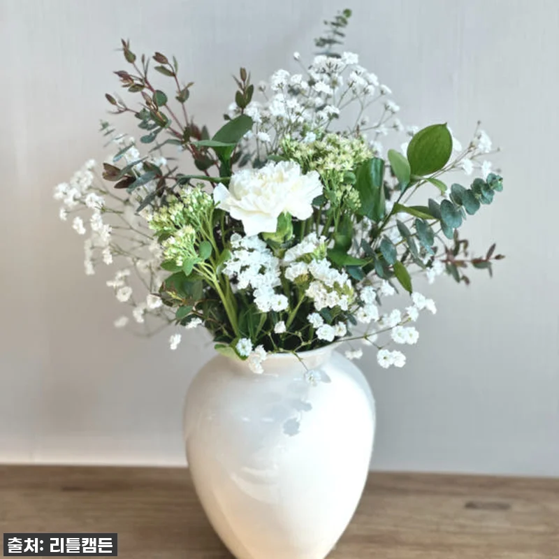 이 가격 실화?! 56% 폭탄 할인! 리틀캠든 그린 앤 화이트 꽃다발, 일상을 드라마로 만드는 마법! 19 이 가격 실화?! 56% 폭탄 할인! 관련 이미지 8