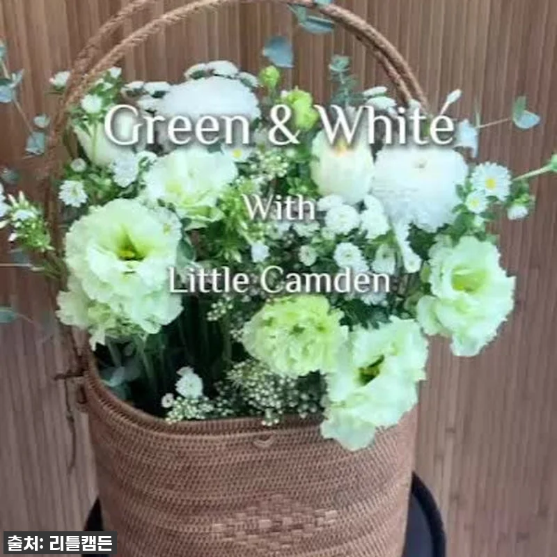 이 가격 실화?! 56% 폭탄 할인! 리틀캠든 그린 앤 화이트 꽃다발, 일상을 드라마로 만드는 마법! 20 이 가격 실화?! 56% 폭탄 할인! 관련 이미지 9