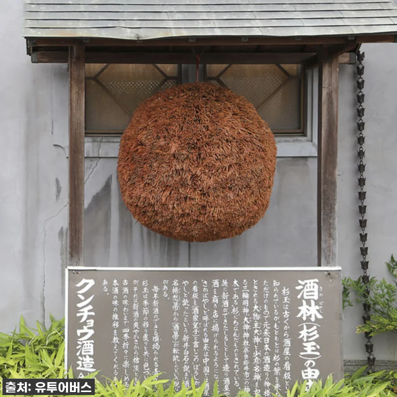 후쿠오카 힐링 끝판왕! 유투어버스 쿠 관련 이미지 9