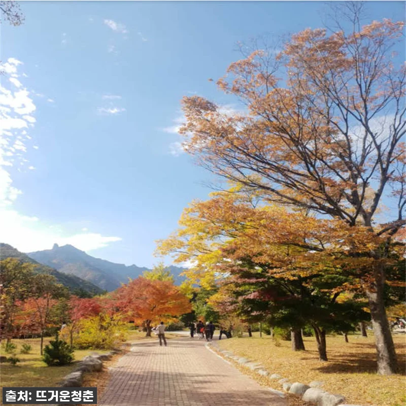 [찐후기] 품절임박! '갯마을 차차차 관련 이미지 9