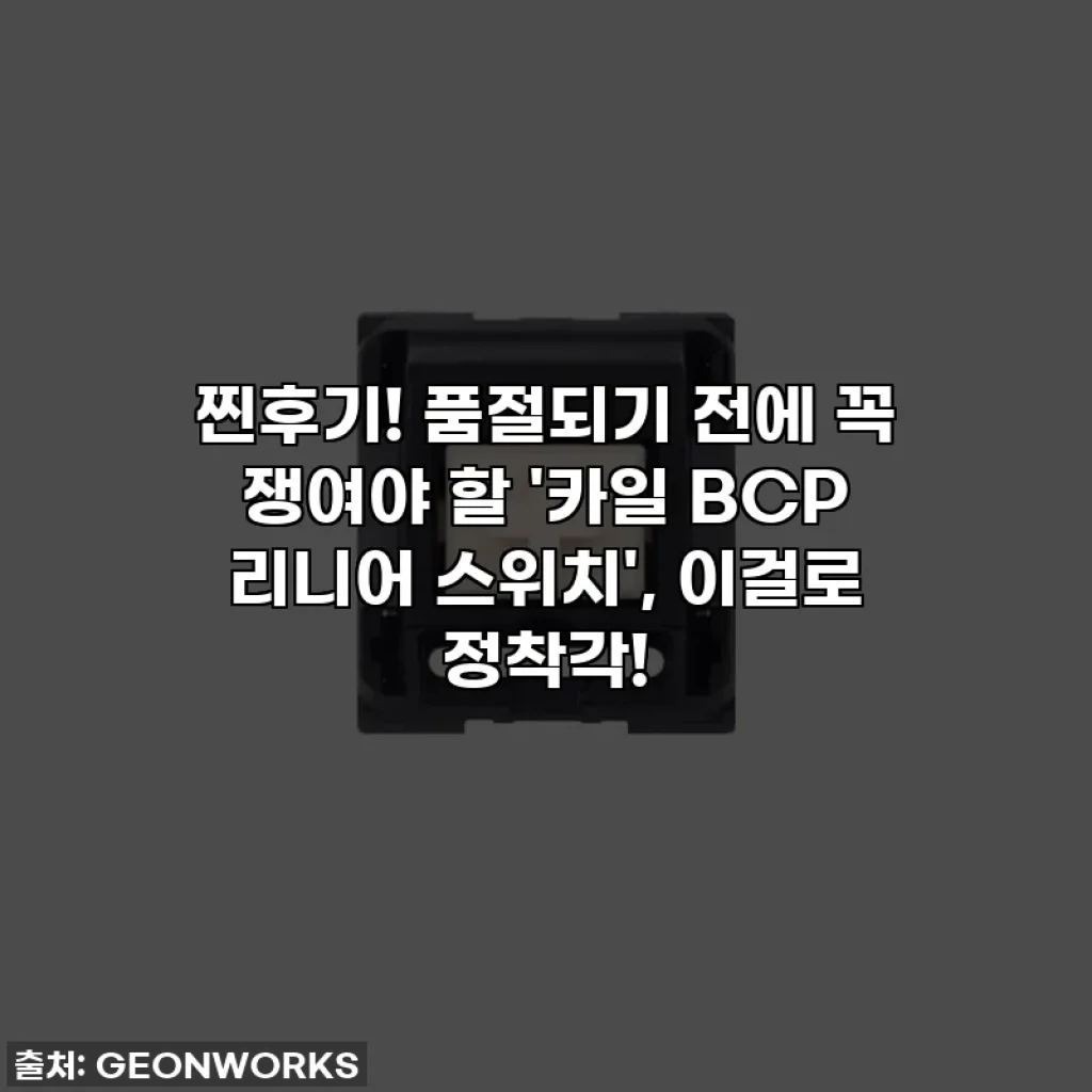 찐후기! 품절되기 전에 꼭 쟁여야 할 '카일 BCP 리니어 스위치', 이걸로 정착각!