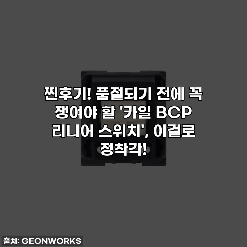 찐후기! 품절되기 전에 꼭 쟁여야 할 '카일 BCP 리니어 스위치', 이걸로 정착각!