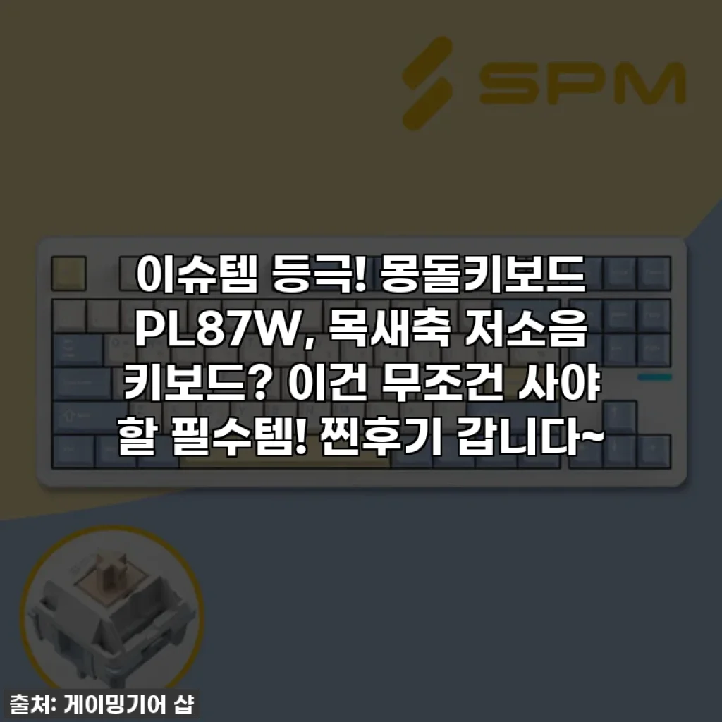 이슈템 등극! 몽돌키보드 PL87W, 목새축 저소음 키보드? 이건 무조건 사야 할 필수템! 찐후기 갑니다~