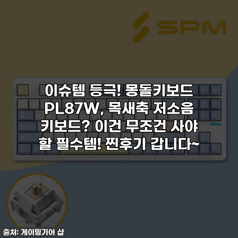 이슈템 등극! 몽돌키보드 PL87W, 목새축 저소음 키보드? 이건 무조건 사야 할 필수템! 찐후기 갑니다~