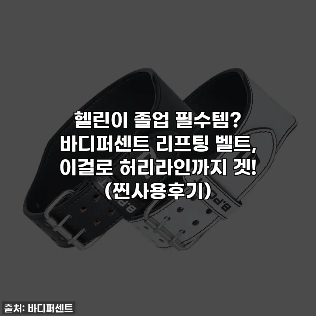 헬린이 졸업 필수템? 바디퍼센트 리프팅 벨트, 이걸로 허리라인까지 겟! (찐사용후기)