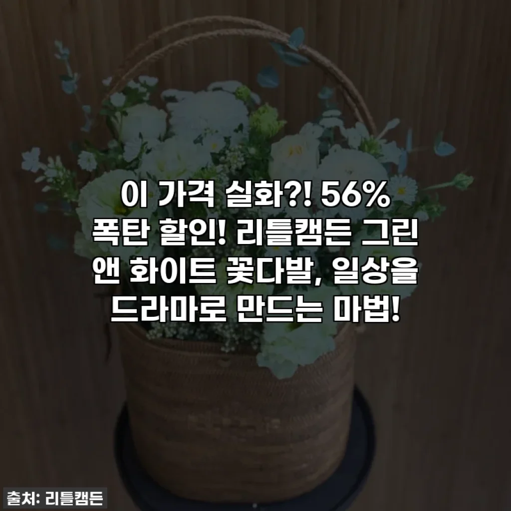 이 가격 실화?! 56% 폭탄 할인! 리틀캠든 그린 앤 화이트 꽃다발, 일상을 드라마로 만드는 마법!