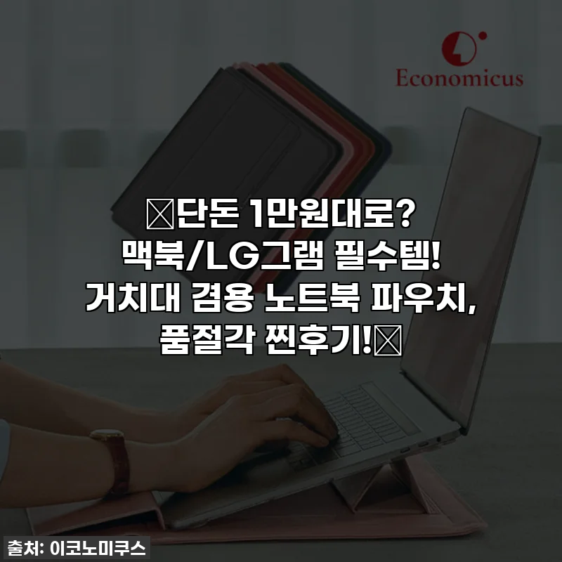 🔥단돈 1만원대로? 맥북/LG그램 필수템! 거치대 겸용 노트북 파우치, 품절각 찐후기!🔥