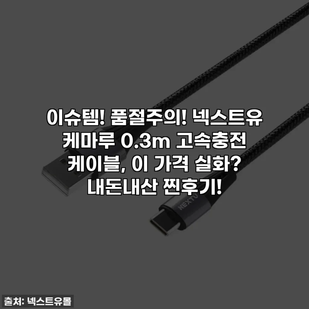 이슈템! 품절주의! 넥스트유 케마루 0.3m 고속충전 케이블, 이 가격 실화? 내돈내산 찐후기!
