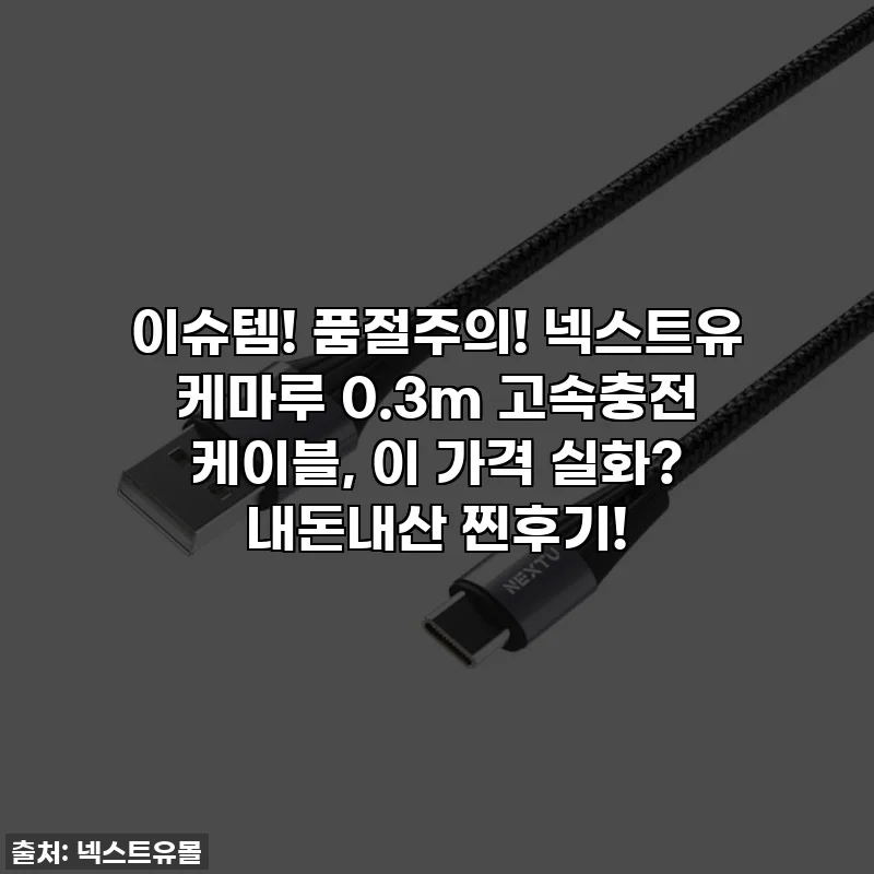이슈템! 품절주의! 넥스트유 케마루 0.3m 고속충전 케이블, 이 가격 실화? 내돈내산 찐후기!