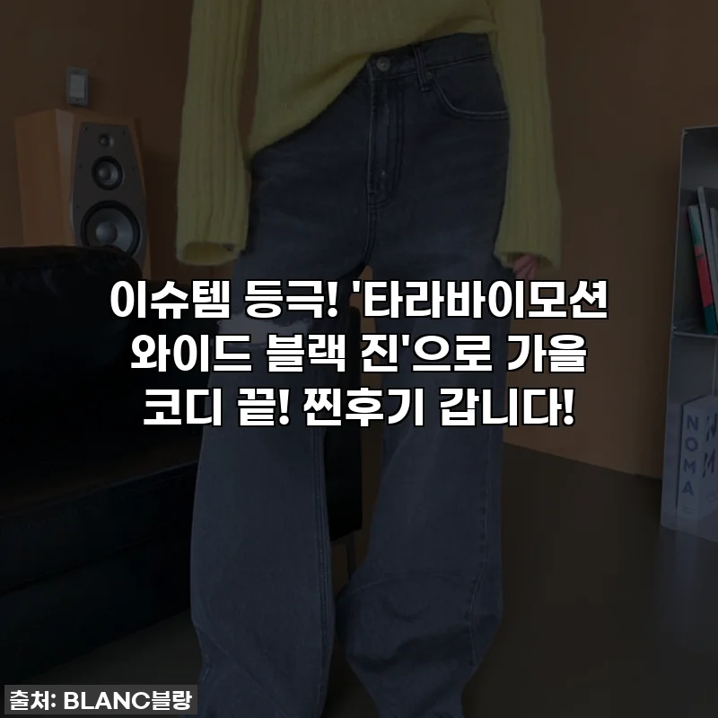 이슈템 등극! '타라바이모션 와이드 블랙 진'으로 가을 코디 끝! 찐후기 갑니다!