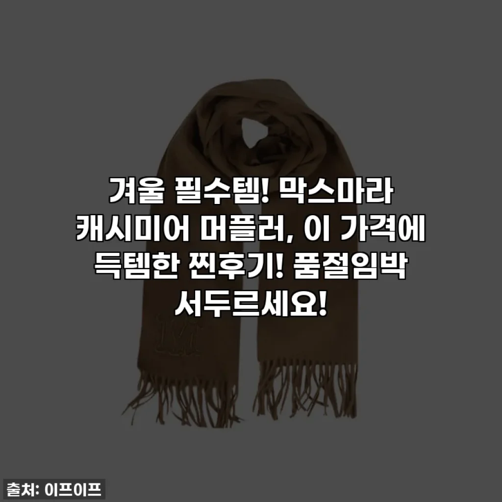 겨울 필수템! 막스마라 캐시미어 머플러, 이 가격에 득템한 찐후기! 품절임박 서두르세요!