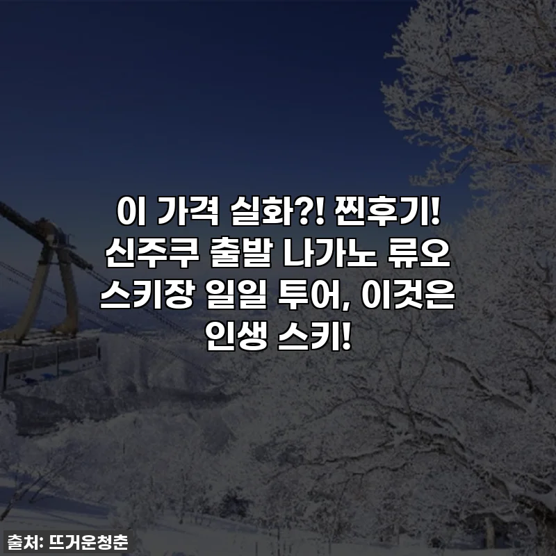 이 가격 실화?! 찐후기! 신주쿠 출발 나가노 류오 스키장 일일 투어, 이것은 인생 스키!