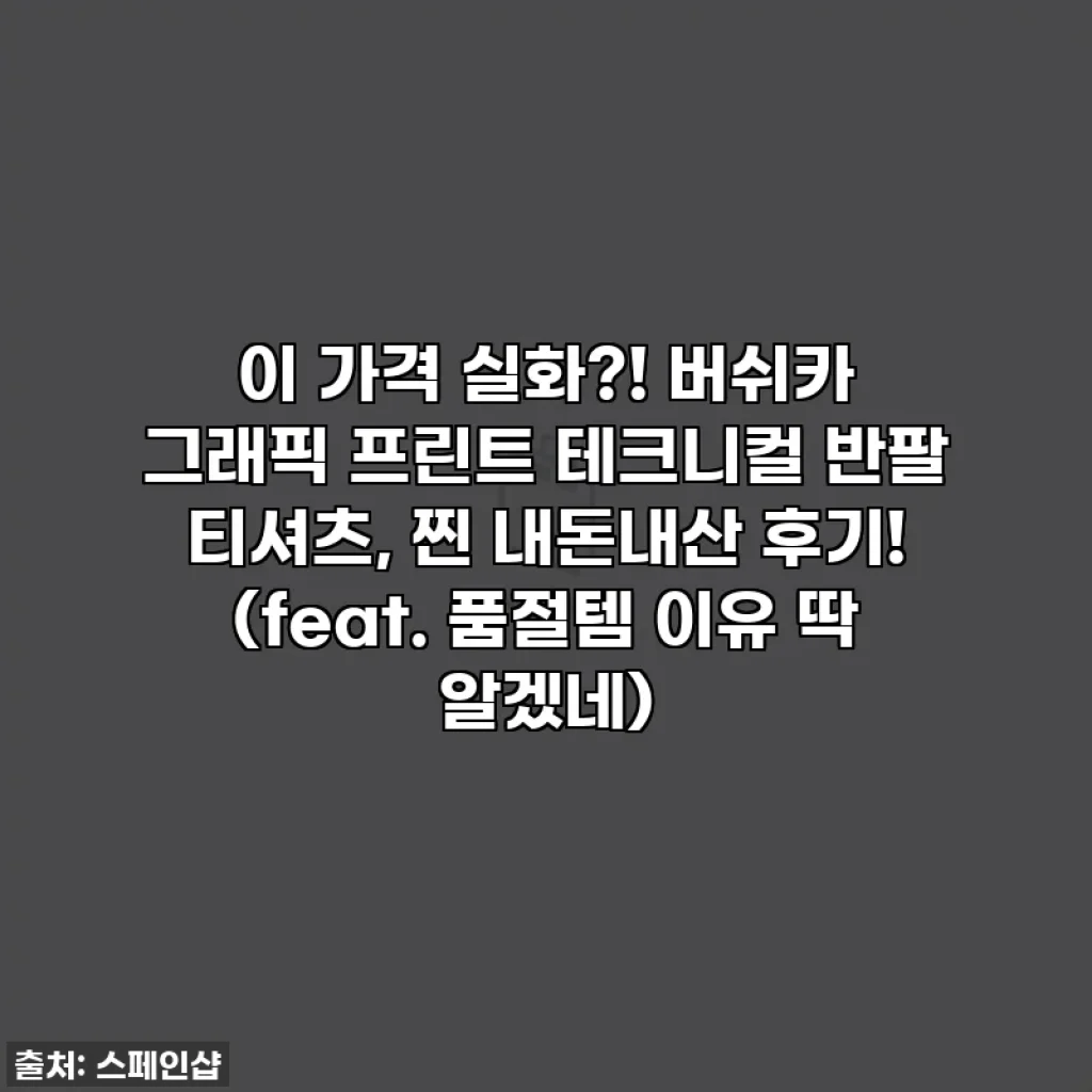 이 가격 실화?! 버쉬카 그래픽 프린트 테크니컬 반팔 티셔츠, 찐 내돈내산 후기! (feat. 품절템 이유 딱 알겠네)