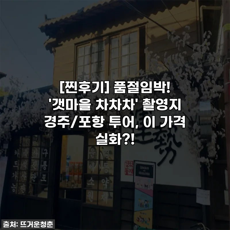 [찐후기] 품절임박! '갯마을 차차차' 촬영지 경주/포항 투어, 이 가격 실화?!