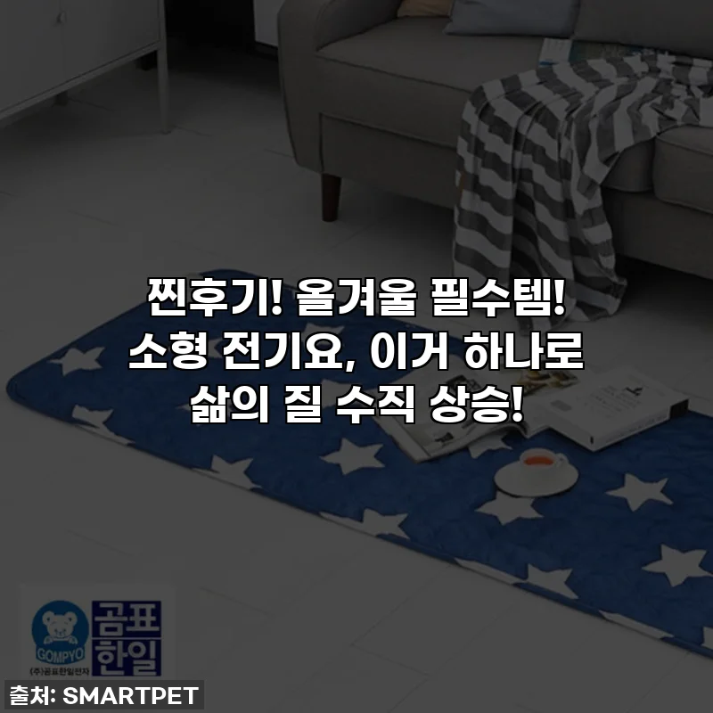찐후기! 올겨울 필수템! 소형 전기요, 이거 하나로 삶의 질 수직 상승!