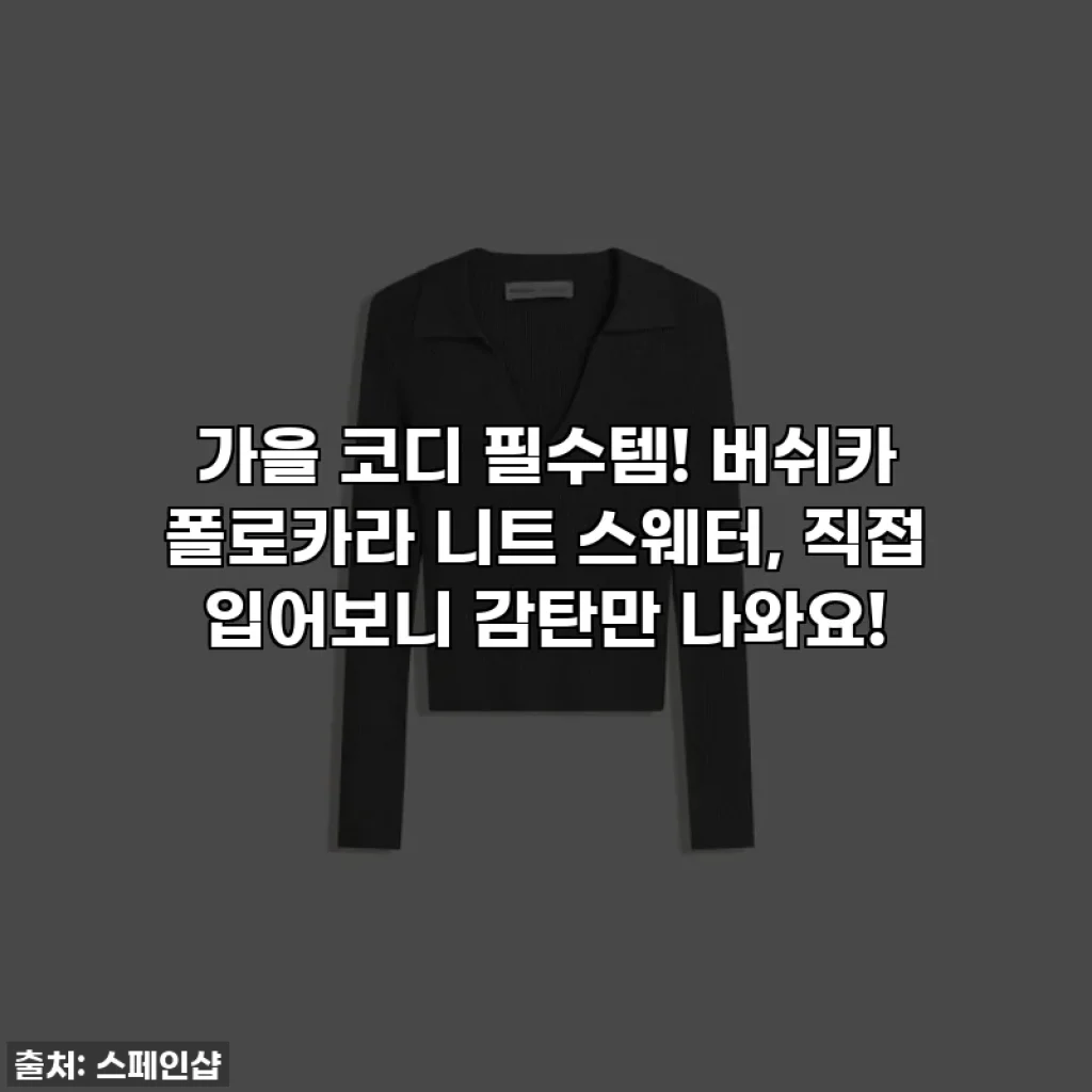 가을 코디 필수템! 버쉬카 폴로카라 니트 스웨터, 직접 입어보니 감탄만 나와요!