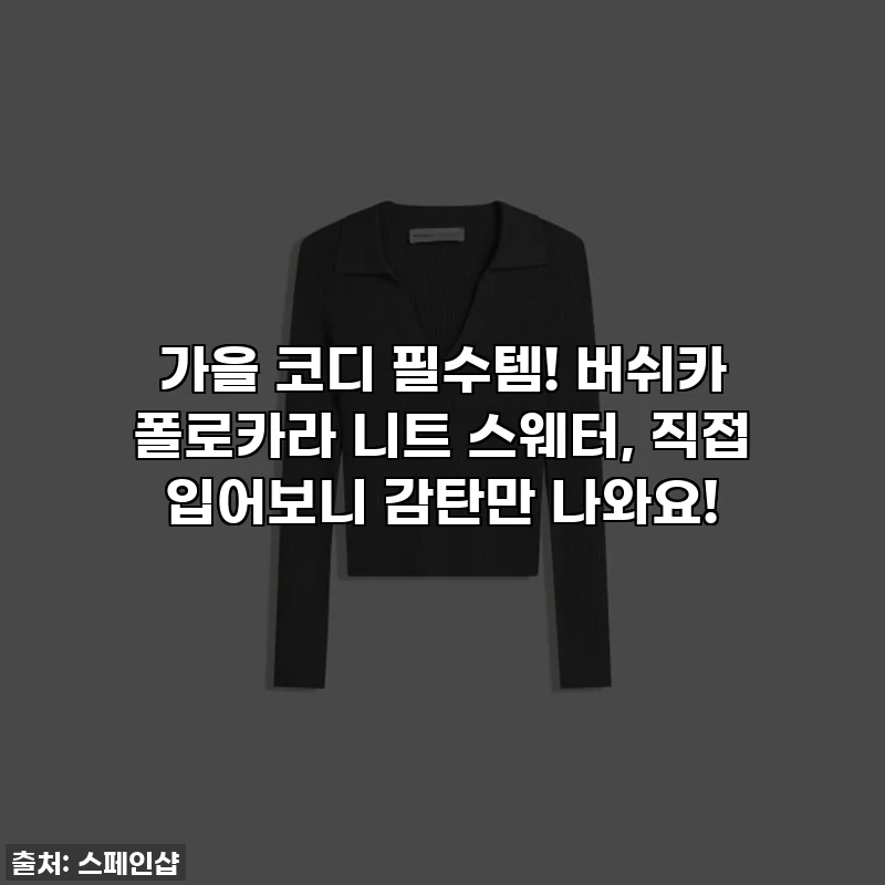 가을 코디 필수템! 버쉬카 폴로카라 니트 스웨터, 직접 입어보니 감탄만 나와요!