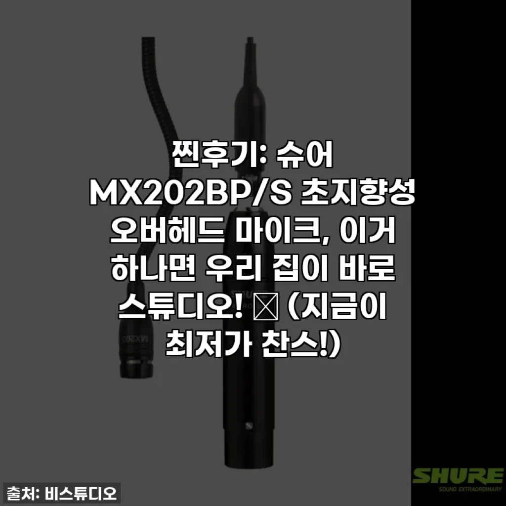 찐후기: 슈어 MX202BP/S 초지향성 오버헤드 마이크, 이거 하나면 우리 집이 바로 스튜디오! ✨ (지금이 최저가 찬스!)