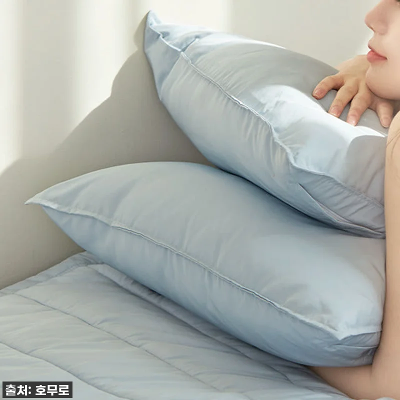 지금 안 사면 후회할 껄? ✨ 호무로 관련 이미지 1