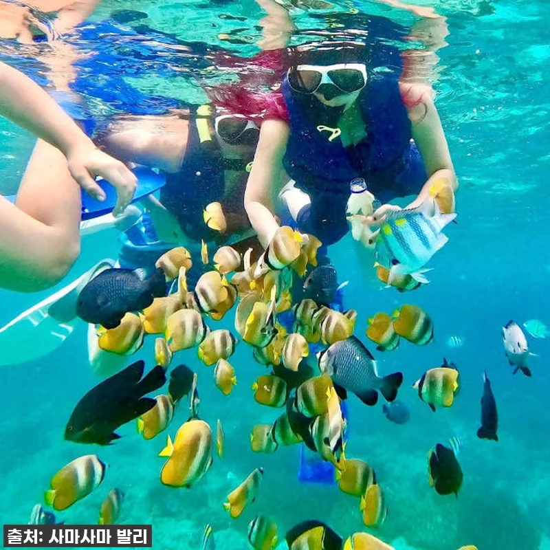 발리 블루라군 스노쿨링, 인생샷+꿀잼 보장! 품절 임박! 서두르세요! 13 발리 블루라군 스노쿨링, 인생샷+꿀잼 관련 이미지 1