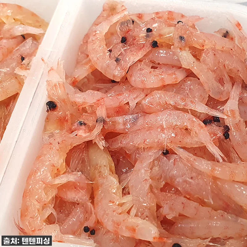 찐후기! 품절대란 '대상 사카나 잡어 관련 이미지 2