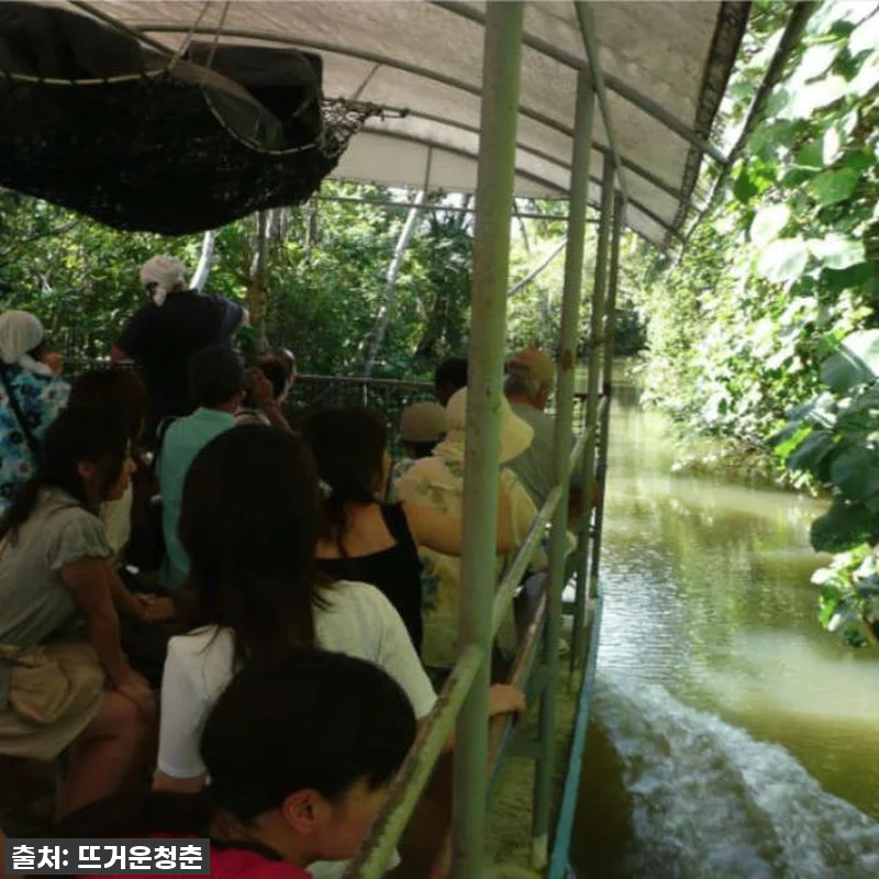 괌 여행 필수 코스? 탈로포포 리버크 관련 이미지 2