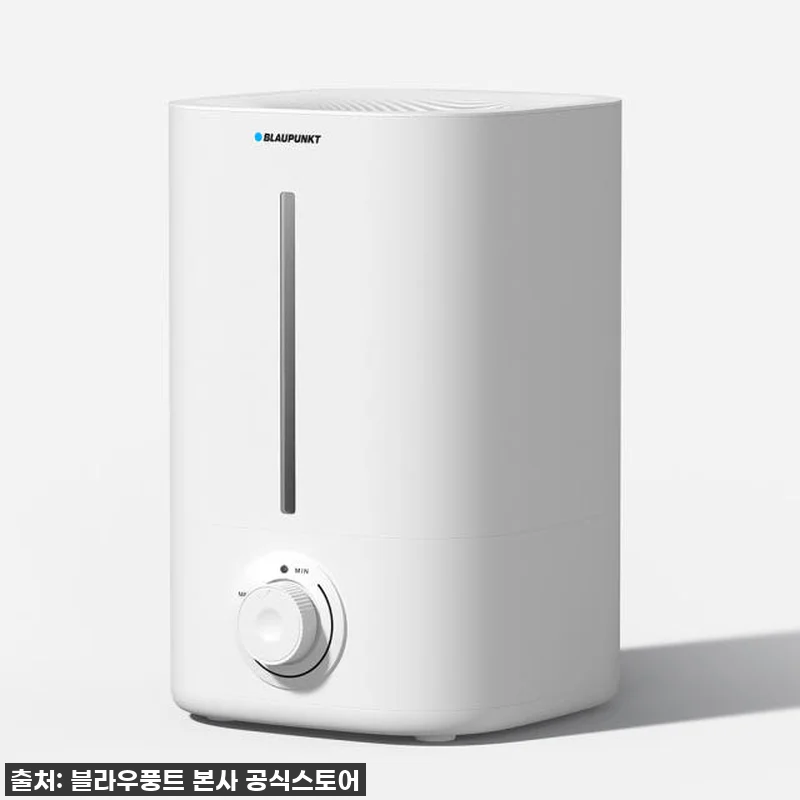 진짜 써보고 깜짝 놀란! 블라우풍트 관련 이미지 2