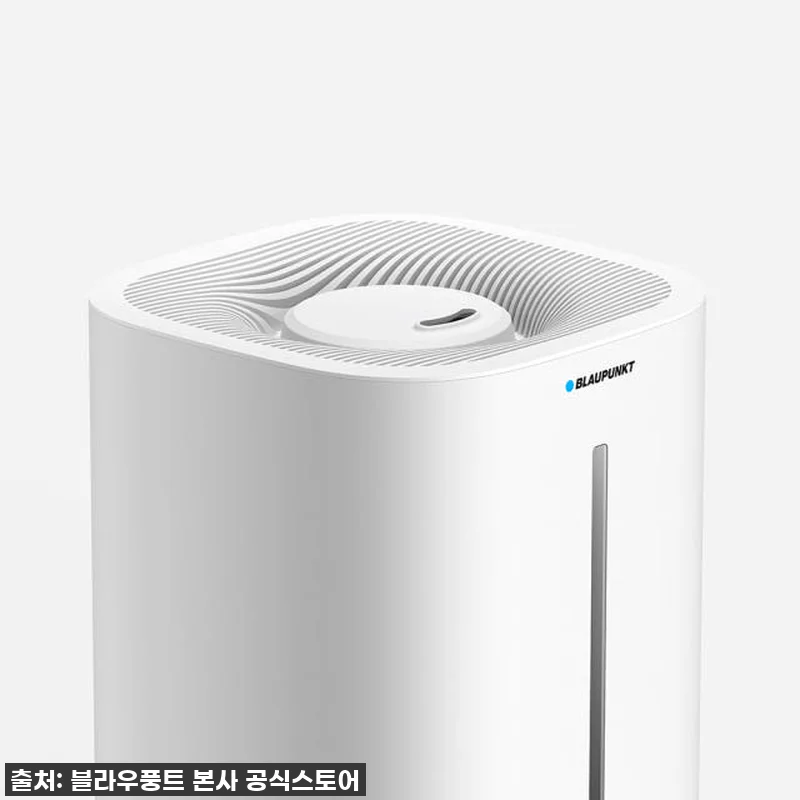 진짜 써보고 깜짝 놀란! 블라우풍트 관련 이미지 3