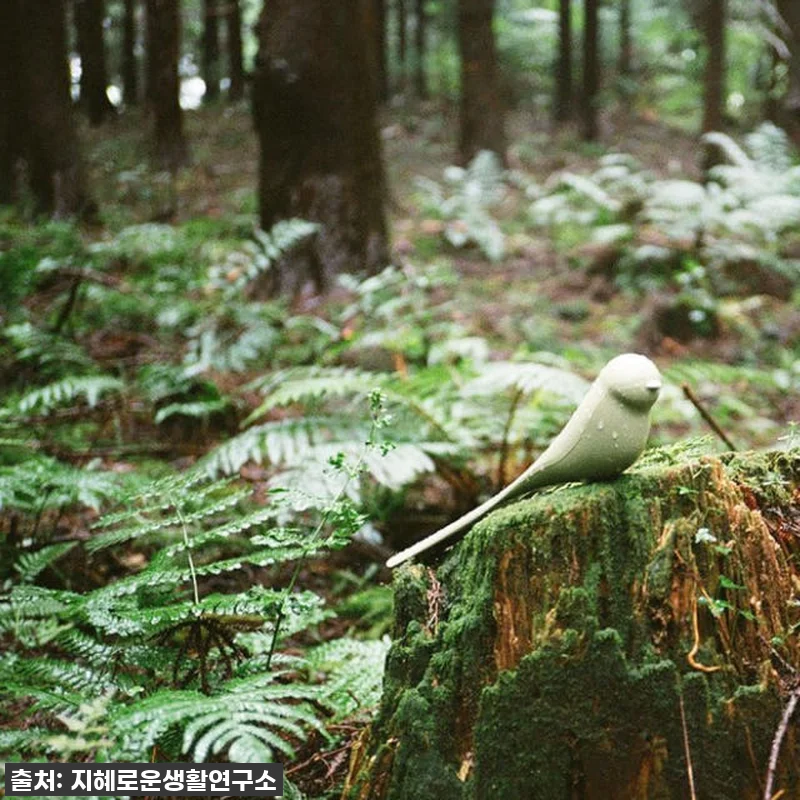 현관 인테리어 종결템! 찐후기: 자석 구두주걱 새모양 슈혼, 왜 이제야 만났을까요? ✨ 14 현관 인테리어 종결템! 찐후기: 자석 관련 이미지 3