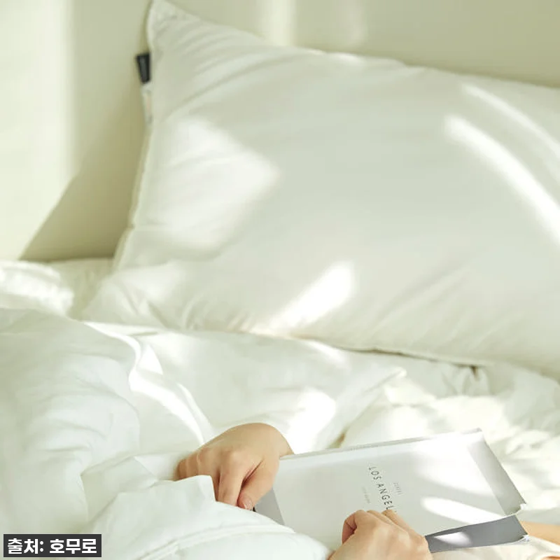 지금 안 사면 후회할 껄? ✨ 호무로 관련 이미지 4