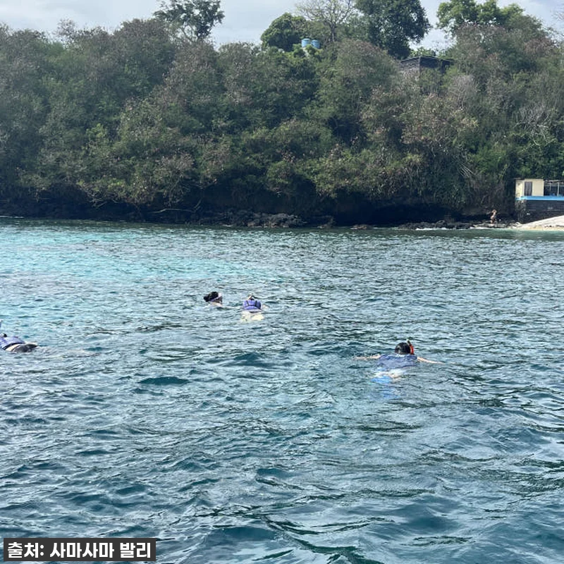 발리 블루라군 스노쿨링, 인생샷+꿀잼 보장! 품절 임박! 서두르세요! 16 발리 블루라군 스노쿨링, 인생샷+꿀잼 관련 이미지 4