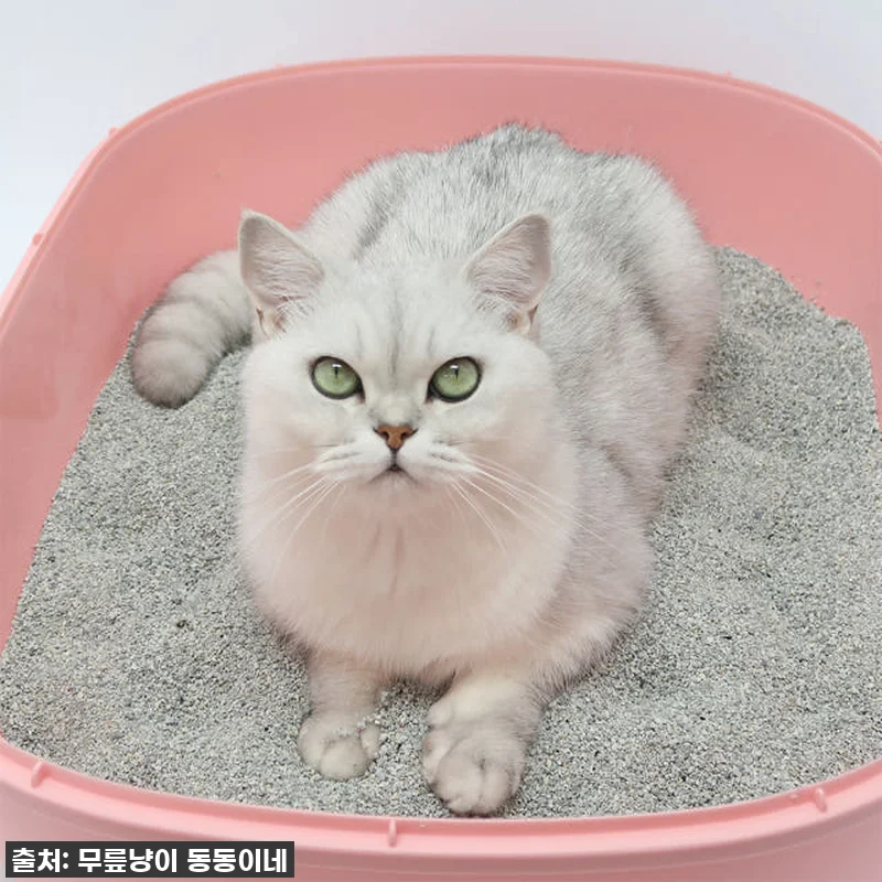 ✨[솔직후기] 미켈란제로 벤토나이트 관련 이미지 4