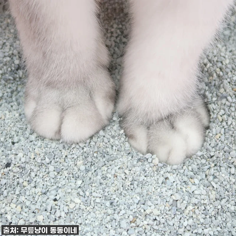 ✨[솔직후기] 미켈란제로 벤토나이트 관련 이미지 5