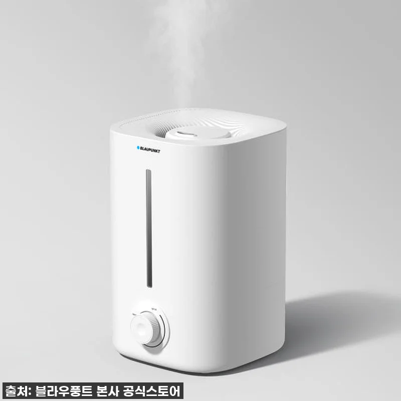 진짜 써보고 깜짝 놀란! 블라우풍트 관련 이미지 5