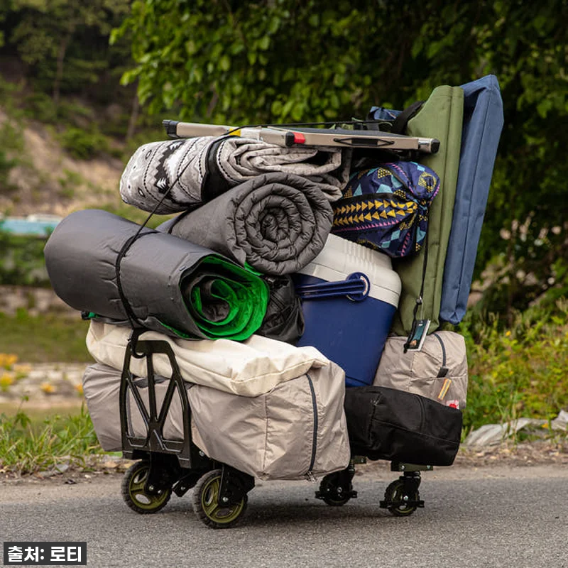 이 카트 하나면 삶의 질 수직 상승! 관련 이미지 5