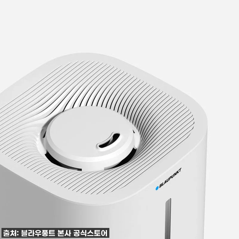 진짜 써보고 깜짝 놀란! 블라우풍트 관련 이미지 7