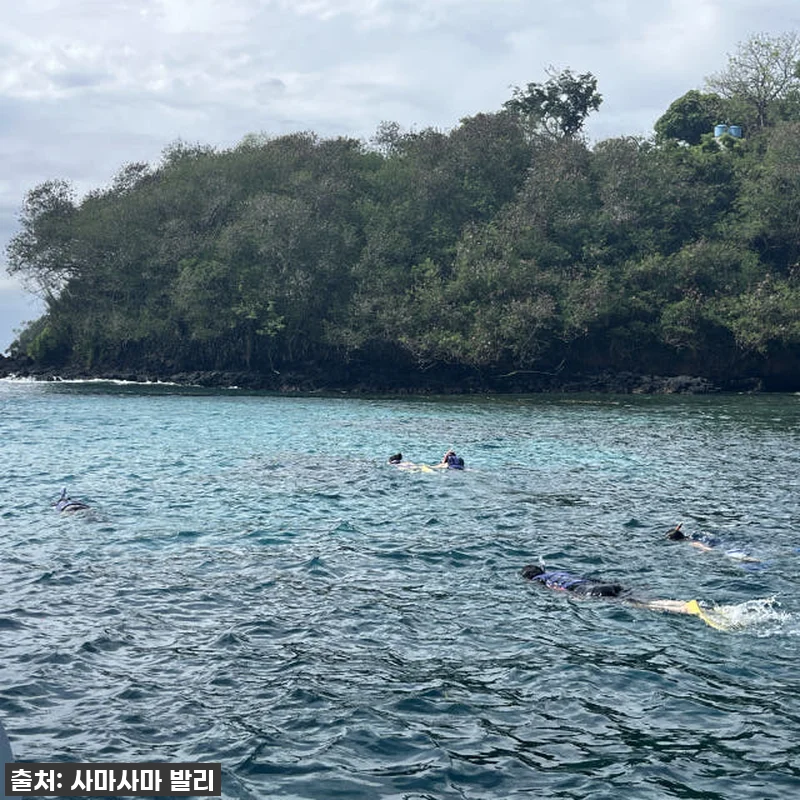 발리 블루라군 스노쿨링, 인생샷+꿀잼 보장! 품절 임박! 서두르세요! 20 발리 블루라군 스노쿨링, 인생샷+꿀잼 관련 이미지 8