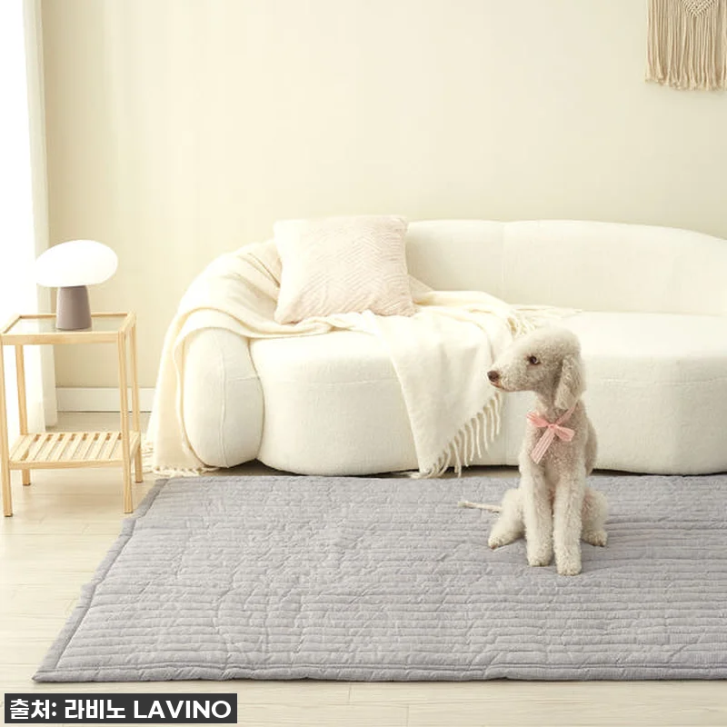 이 가격 실화?! 🏡 라비노 세탁 온수매트, 올겨울 꿀잠 책임질 필수템 찐후기! 20 이 가격 실화?! 🏡 라비노 세탁 온 관련 이미지 8