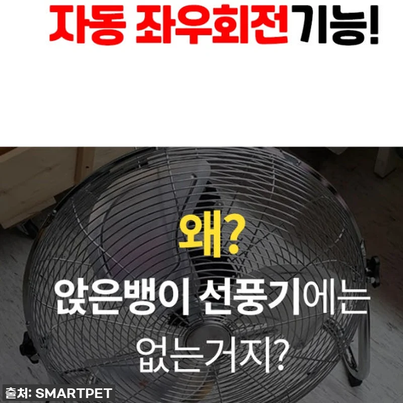 이 선풍기, 진짜 물건인데요? 💦 찐후기: 20인치 산업용 대형 선풍기로 여름 더위, 공사 먼지 한 방에 날려버렸어요! 19 이 선풍기, 진짜 물건인데요? 💦 찐 관련 이미지 8